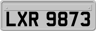 LXR9873