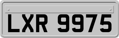 LXR9975
