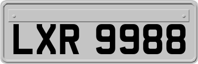 LXR9988