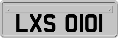 LXS0101