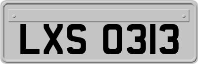 LXS0313