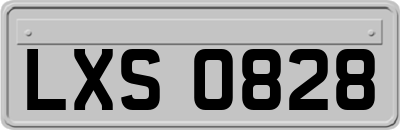 LXS0828