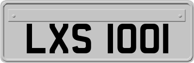 LXS1001