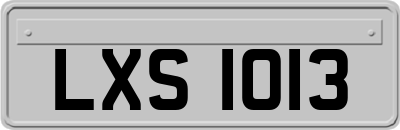 LXS1013