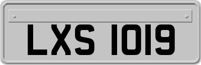 LXS1019