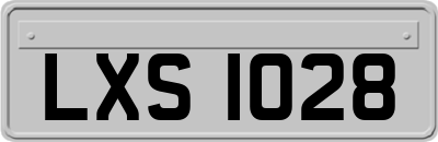 LXS1028
