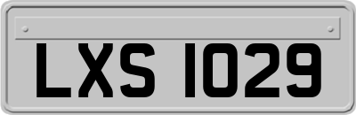 LXS1029