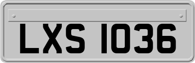 LXS1036