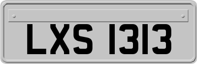 LXS1313