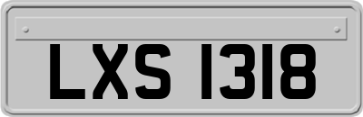LXS1318