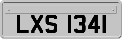 LXS1341