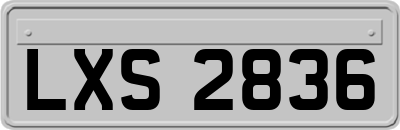 LXS2836