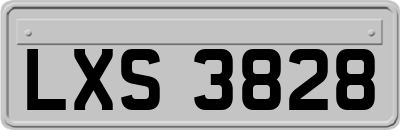 LXS3828