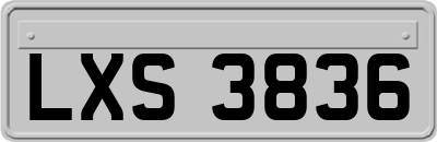 LXS3836