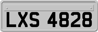 LXS4828
