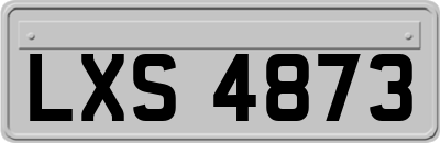 LXS4873