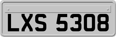 LXS5308