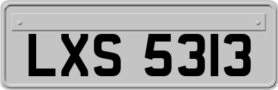 LXS5313