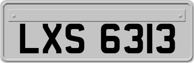LXS6313