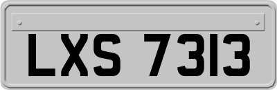 LXS7313