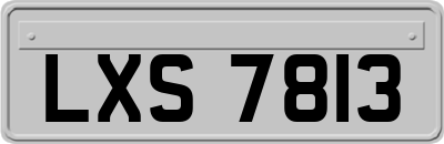 LXS7813
