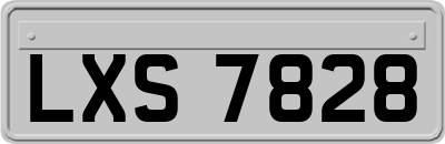 LXS7828