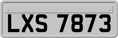 LXS7873