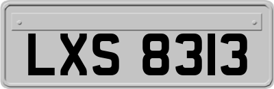 LXS8313