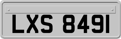 LXS8491