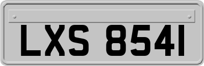 LXS8541