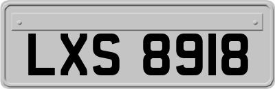 LXS8918