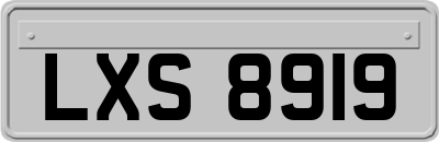 LXS8919