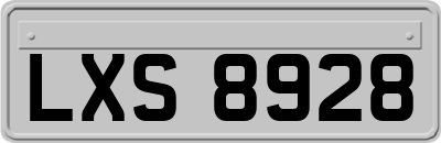 LXS8928
