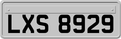 LXS8929