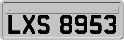 LXS8953