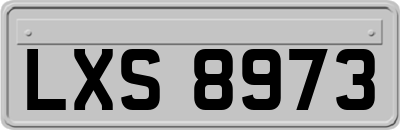 LXS8973
