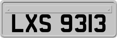 LXS9313