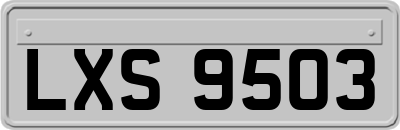 LXS9503