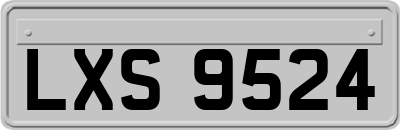 LXS9524