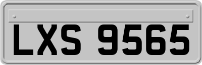 LXS9565