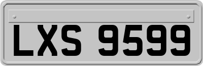 LXS9599