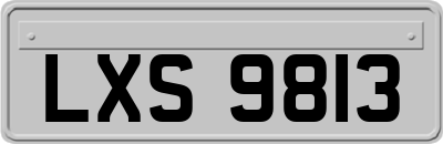 LXS9813