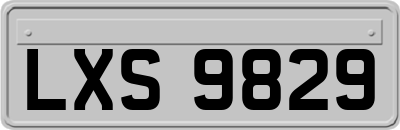 LXS9829