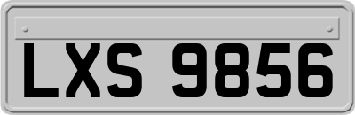 LXS9856