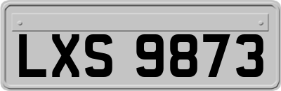 LXS9873
