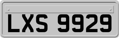 LXS9929