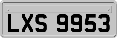 LXS9953