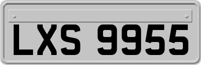 LXS9955