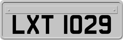 LXT1029