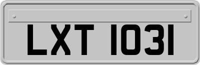 LXT1031